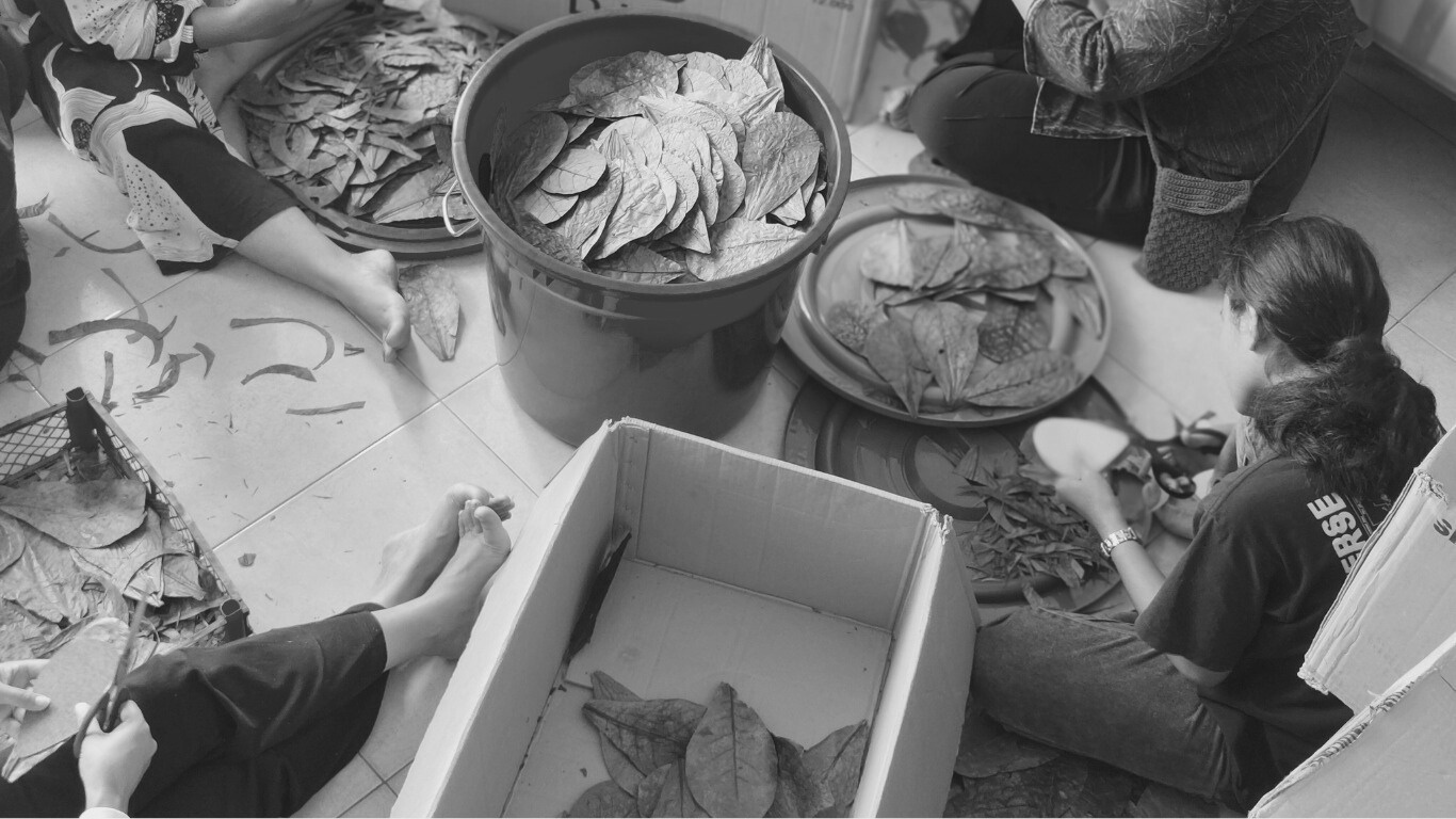 Central Charcoal Babelindo team sorting leaves